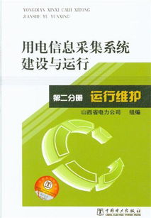 《運(yùn)行維護(hù) 用電信息采集系統(tǒng)建設(shè)與運(yùn)行 第二分冊 信息系統(tǒng)運(yùn)行維護(hù)服務(wù)》解析